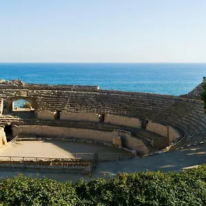 Monkey , Tarragona España